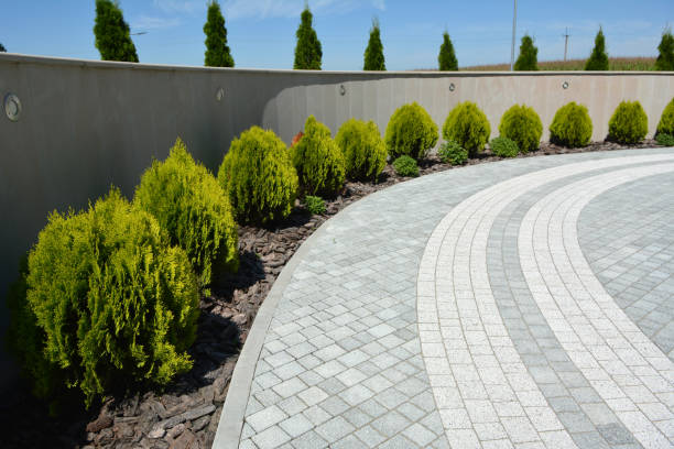 Best Decorative Driveway Pavers  in Bridgeport, TX